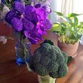 まつとち's cooksnap of when they made ブロッコリーの新鮮が続く保存方法＾＾.