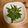クック91TYEN☆'s cooksnap of when they made [スピードメニュー]いんげんの胡麻和え.