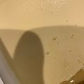 くまごり's cooksnap of when they made 【備忘録】バケツプリン（500cc）.