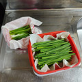 ebipeco's cooksnap of when they made 青ネギの保存法.