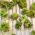 youshizu's cooksnap of when they made 天ぷら粉で簡単！ふきのとうの天ぷら♪.