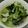 貴代正's cooksnap of when they made 小松菜のおいしい食べ方1位☆(青菜炒め).