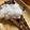 mantacarp's cooksnap of when they made フライパンで真サバの塩焼き。大根おろし！.