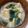 meme1227's cooksnap of when they made 薄揚げとわかめの味噌汁.
