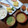 よちりん's cooksnap of when they made 白菜とえのきと生姜のお味噌汁.
