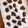 茶杓丸's cooksnap of when they made 福豆チョコ　型不要　材料2つで簡単￼.
