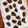 茶杓丸's cooksnap of when they made 福豆チョコ　型不要　材料2つで簡単￼.