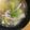 手抜きクック's cooksnap of when they made 生姜香る♡レタスとカニカマのスープ.