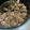 Shiho0303's cooksnap of when they made 牛肉の佃煮＊しぐれ煮＊ステーキの切れ端で.