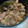 Shiho0303's cooksnap of when they made 牛肉の佃煮＊しぐれ煮＊ステーキの切れ端で.