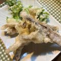 お山のエイ's cooksnap of when they made アケビ♥アケビの天ぷら.