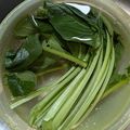 yama_miu's cooksnap of when they made 水菜の洗い方♡(❊´︶`❊)｡۞·:.