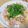rinchan820's cooksnap of when they made スピードおかず♪ 豚肉と長芋の大葉塩炒め.