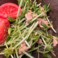 キミコネン's cooksnap of when they made シャキ！ぷちっ！豆苗とツナの胡麻サラダ.