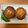 クックIW0RN1☆'s cooksnap of when they made つくれぽ2千♪豆腐と豚挽き肉のハンバーグ.