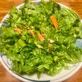さすらい's cooksnap of when they made わさび菜のシンプルサラダ.