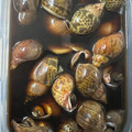 クック5POO64☆'s cooksnap of when they made 簡単！やみつき！バイ貝（貝類）の煮付け.