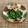コムギ大好き's cooksnap of when they made ほうれん草の塩麹お浸し.