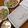 mayutaro107's cooksnap of when they made 効果倍増！今すぐ作れる酢玉ねぎレシピ♪.
