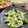 Superlittleboo's cooksnap of when they made 簡単！ブロッコリーとツナのサラダ.