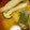 ヒヨコマメ☆'s cooksnap of when they made わかめときのこのお味噌汁.