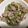 Jeria's cooksnap of when they made ８分でできる！【ネギ塩ぶたコマ炒め】.