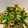 nara06's cooksnap of when they made ちくわとピーマンのカレー炒め.