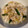 クックECV9QY☆'s cooksnap of when they made ★無限系★白菜とささみの混ぜるだけサラダ.