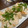 hiromi17's cooksnap of when they made 鶏ささみのしっとりつるりん焼き♪梅酢だれ.