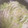 ひろりり♪'s cooksnap of when they made 白菜×豚バラ 重ね蒸し ♪.