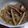ゆりのもり's cooksnap of when they made ☺簡単♪いかのスパイシーカレー炒め☺.