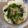 宮下真帆's cooksnap of when they made ほうれん草とベーコンのピザ.