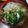 ぱぴぷぺぽち's cooksnap of when they made 鶏むねで！あっさり鶏だしにゅうめん.