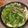 jiso37's cooksnap of when they made せり鍋.