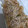 クックGT06PS☆'s cooksnap of when they made 大根と鶏ミンチの煮物♪.
