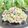 岡山県料理サークルちゃお〜's cooksnap of when they made ミックスビーンズたっぷりの豆サラダ♪.