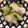 クック7ZSRQQ☆'s cooksnap of when they made 子供も大好き♡きゅうりとかぶの浅漬け.