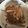 」りふ's cooksnap of when they made 簡単♪ゴボウと白滝のきんぴら。.