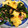 debuyasan's cooksnap of when they made のらぼう菜の炒め物.