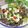 岡山県料理サークルちゃお〜's cooksnap of when they made 豆腐と野菜の絶品コンビ☆　チョレギサラダ.