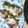 ぼんぐ２８８'s cooksnap of when they made さば缶とピーマンのチーズ焼き.