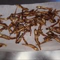 しろはる。's cooksnap of when they made 食べる小魚でおやつ☆たつくり.