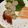 ﾌﾞﾚﾝﾀﾞ's cooksnap of when they made ホタテのお刺身.