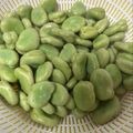 明日も晴れ's cooksnap of when they made そら豆の茹で方.