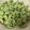 明日も晴れ's cooksnap of when they made そら豆の茹で方.