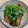 さんごりあす's cooksnap of when they made 簡単＊さんまの梅煮・煮付け.
