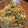 fuji's cooksnap of when they made ほうれん草とマカロニのオーロラサラダ.