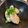 クック9P7ECM☆'s cooksnap of when they made 牡蠣の酒蒸し(昆布焼き).