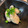 クック9P7ECM☆'s cooksnap of when they made 牡蠣の酒蒸し(昆布焼き).