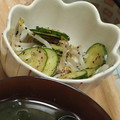 natsukori's cooksnap of when they made もやしときゅうりのゆかり和え.